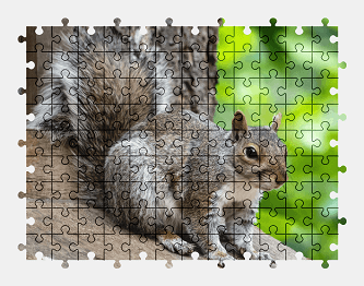 Jigsaw puzzle online squirrel,animal,colorful