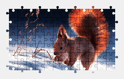 Jigsaw puzzle online squirrel,winter,snow,animal,colorful,nature
