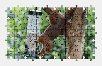 Jigsaw puzzle online squirrel,animal,nature,food