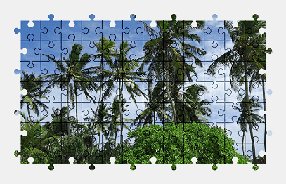 Jigsaw puzzle online beach,palm-tree,island,nature