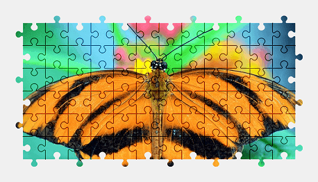 Jigsaw puzzle online orange,butterfly,animal,flower,nature,colorful