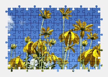 Jigsaw puzzle online yellow,summer,flower,sky,nature,colorful
