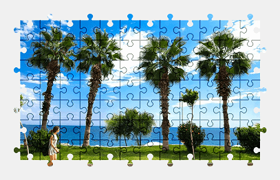 Jigsaw puzzle online summer,palm-tree,nature,colorful