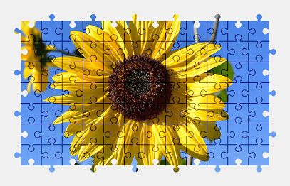 Jigsaw puzzle online sunflower,flower,nature,colorful