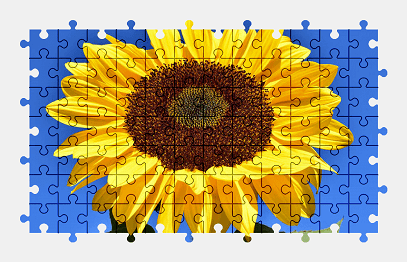 Jigsaw puzzle online yellow,sunflower,flower,nature,colorful
