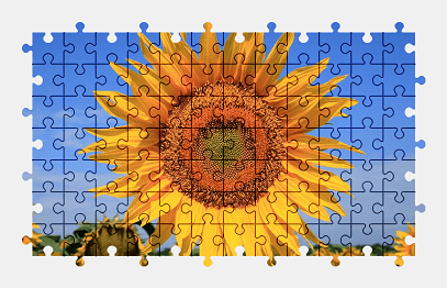 Jigsaw puzzle online sunflower,flower,nature,colorful