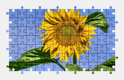 Jigsaw puzzle online sunflower,flower,nature,colorful,plant