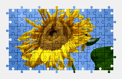 Jigsaw puzzle online sunflower,flower,nature,colorful