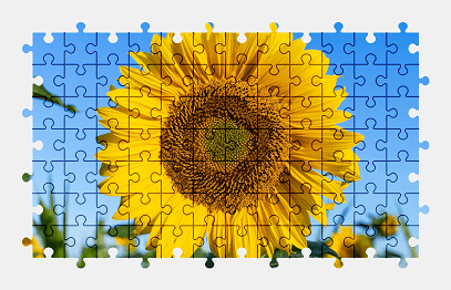 Jigsaw puzzle online sunflower,flower,nature,colorful