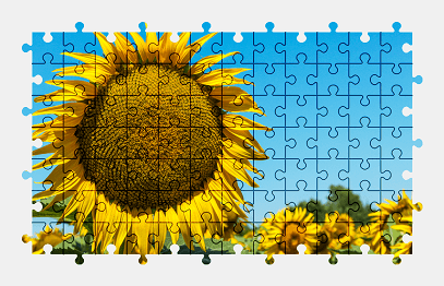 Jigsaw puzzle online sunflower,flower,plant,nature,colorful