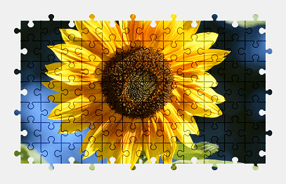 Jigsaw puzzle online sunflower,plant,flower