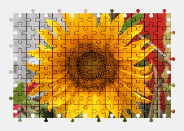 Jigsaw puzzle online sunflower,flower,colorful,nature