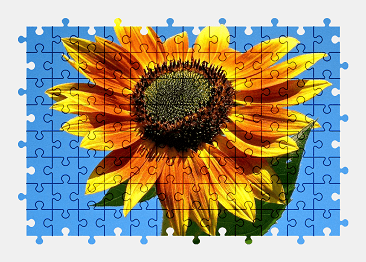 Jigsaw puzzle online yellow,sunflower,flower,bloom,nature,colorful