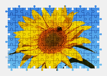 Jigsaw puzzle online sunflower,sunny,flower,nature,bee,colorful
