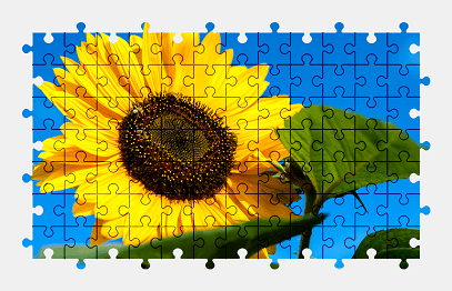 Jigsaw puzzle online yellow,sunflower,flower,nature,summer,colorful