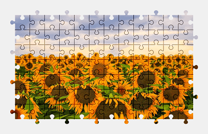 Jigsaw puzzle online sunflower,flower,nature,yellow,field