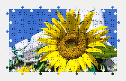 Jigsaw puzzle online sunflower,flower,yellow,summer,nature,colorful