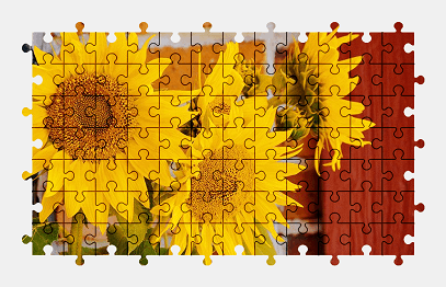 Jigsaw puzzle online sunflower,flower