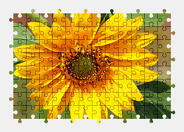 Jigsaw puzzle online yellow,sunflower,plant,flower,nature