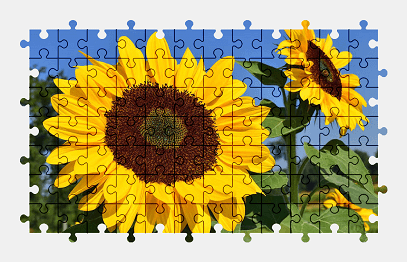 Jigsaw puzzle online sunflower,yellow,summer,flower,nature,colorful