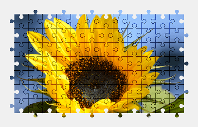 Jigsaw puzzle online sunflower,summer,flower,nature,plant,colorful