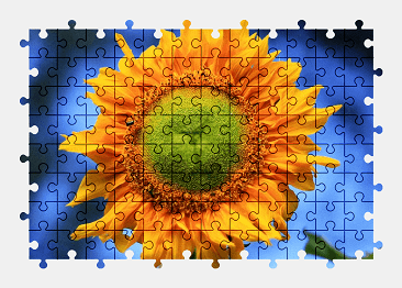 Jigsaw puzzle online flower,sunflower,summer,plant,color,colorful,nature