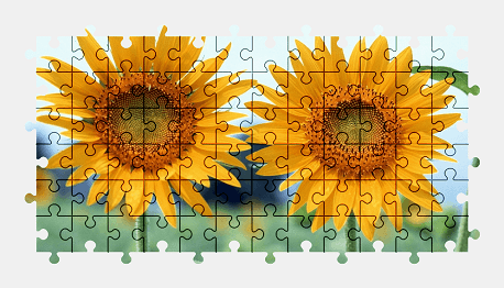 Jigsaw puzzle online sunflower,nature,flower