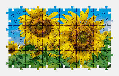 Jigsaw puzzle online sunflower,flower,nature,colorful