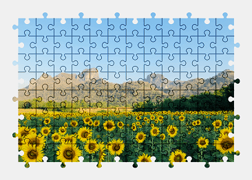 Jigsaw puzzle online sunflower,field,plant,flower,landscape,nature,colorful