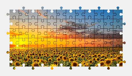 Jigsaw puzzle online sunflower,flower,plant,sunset,sky,landscape,nature,colorful