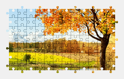 Jigsaw puzzle online sunny,autumn,nature,colorful,landscape