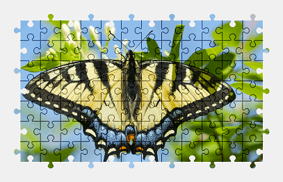Jigsaw puzzle online butterfly,animal,colorful