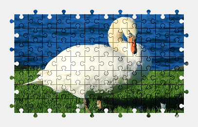 Jigsaw puzzle online swan,bird,animal,colorful