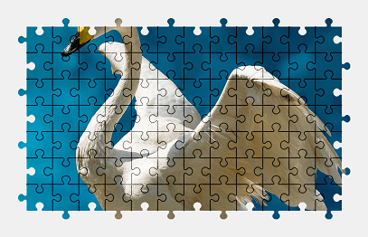 Jigsaw puzzle online white,swan,bird,animal,colorful