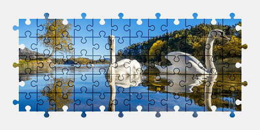 Jigsaw puzzle online swan,animal,lake,nature,colorful