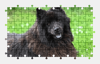 Jigsaw puzzle online sweden,dog,animal,colorful