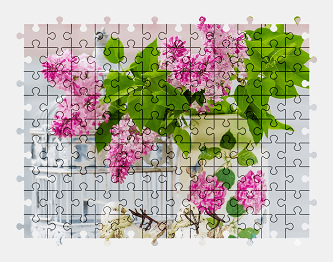 Jigsaw puzzle online flower,plant,colorful