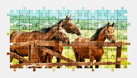 Jigsaw puzzle online horse,nature,animal,colorful