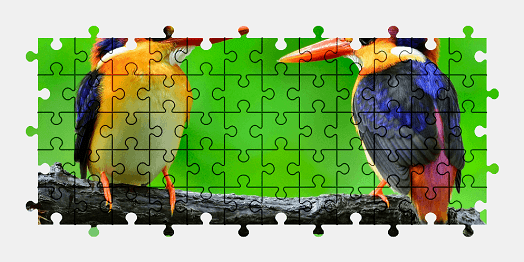 Jigsaw puzzle online bird,animal,colorful