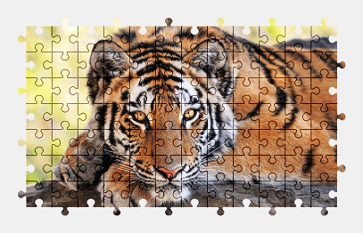 Jigsaw puzzle online tiger,cat,animal,colorful