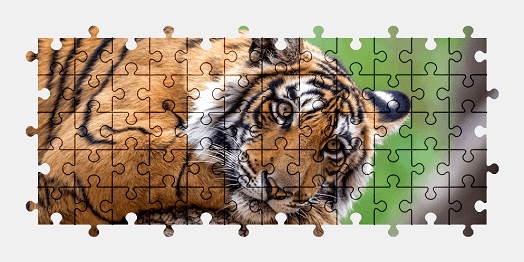 Jigsaw puzzle online tiger,animal,colorful