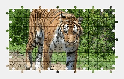 Jigsaw puzzle online tiger,animal,colorful