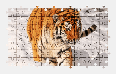 Jigsaw puzzle online tiger,animal,snow,winter,cat,colorful