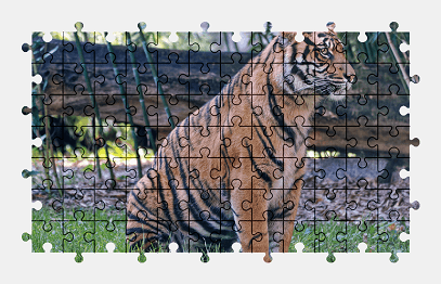 Jigsaw puzzle online tiger,animal,cat