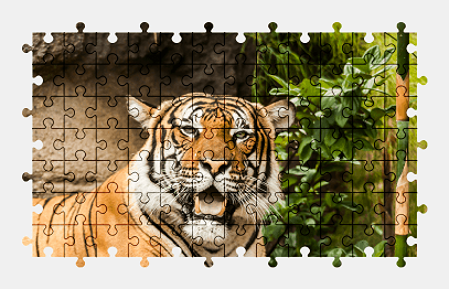Jigsaw puzzle online tiger,animal,colorful
