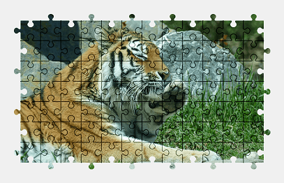 Jigsaw puzzle online tiger,cat,predator,animal