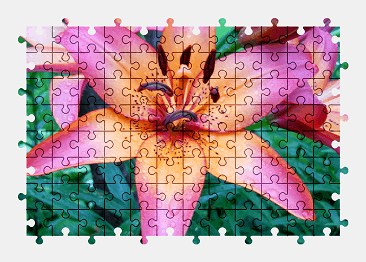 Jigsaw puzzle online flower,nature,colorful