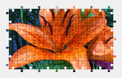 Jigsaw puzzle online nature,orange,flower,lily,colorful
