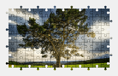 Jigsaw puzzle online tree,colorful,nature,landscape