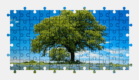Jigsaw puzzle online tree,nature,flower,colorful